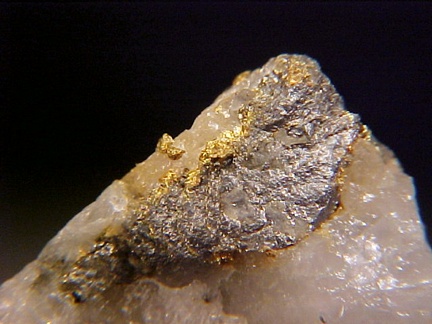   Native Gold & Arsenopyrite Crystal HOMESTAKE MINE, SOUTH DAKOTA  