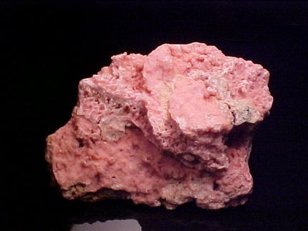 Sold at Auction: Pink Coral Specimen