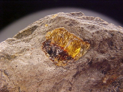 Amber in Matrix - Switzerland