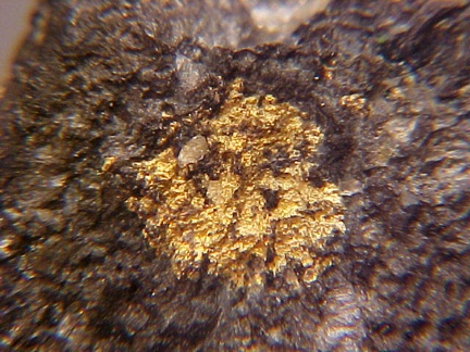 Native Gold on Chalcocite - Bisbee, AZ