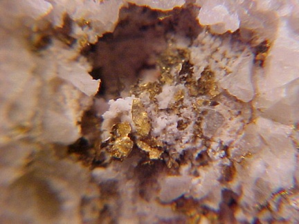 Native Gold - Apache Junction, Arizona