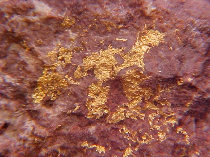 Native Gold - Arizona