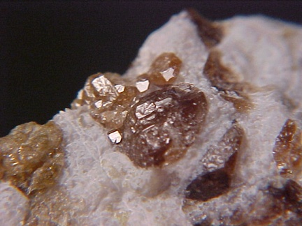 Hydroxylellestadite from the Chichibu Mine in Japan