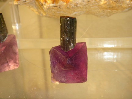 Tourmaline on Fluorite