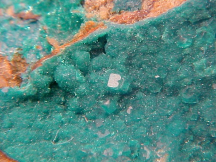 Caledonite & Dioptase - California