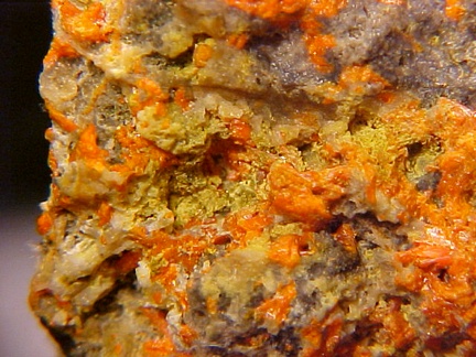 Crocoite - Germany